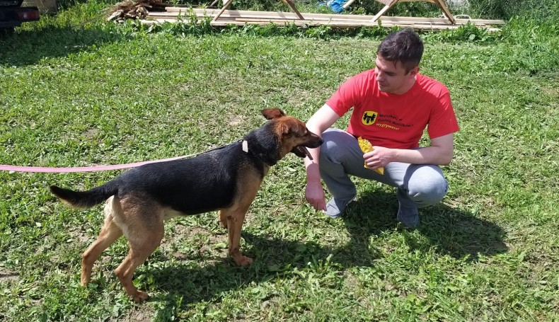 Gmina Wasilków wspiera schronisko Cyganowo w Sejnach, fot. Iza Kosakowska