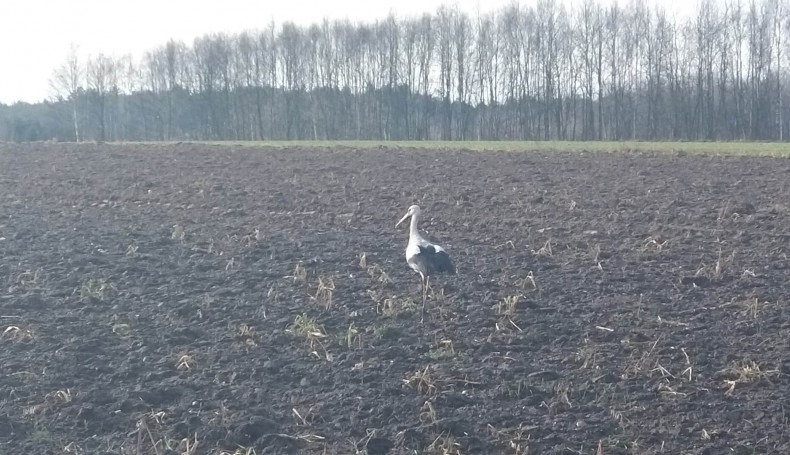 fot. Edyta Wołosik