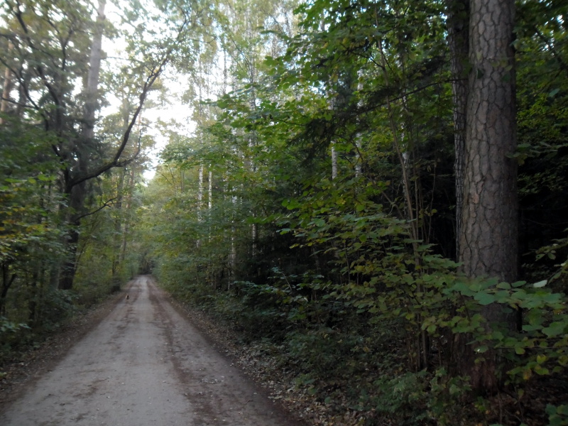 Jest szansa, że w Augustowie będzie można wydobywać leczniczą borowinę