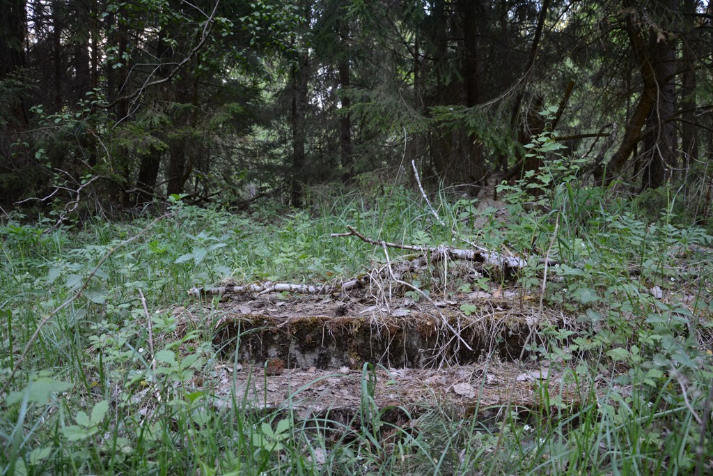 Sucho w lasach Suwalszczyzny. Będzie zakaz wstępu do lasów?