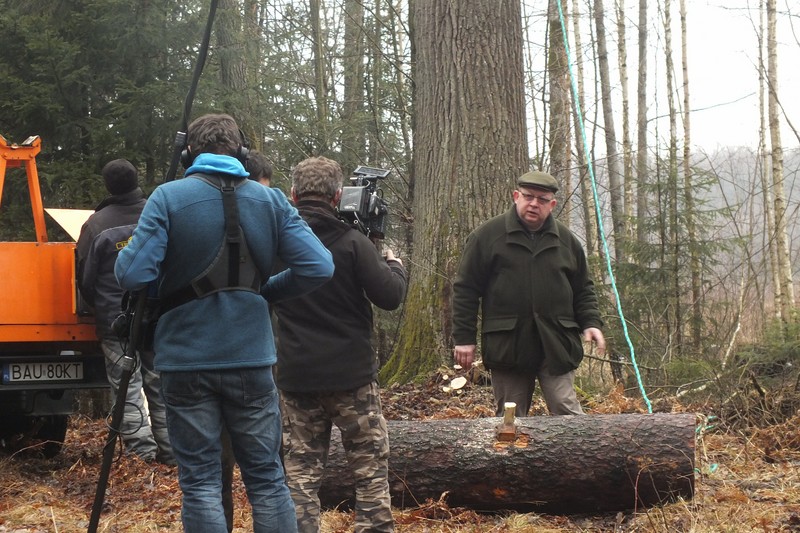 Augustów:  W Puszczy Augustowskiej powstaje film o pszczołach