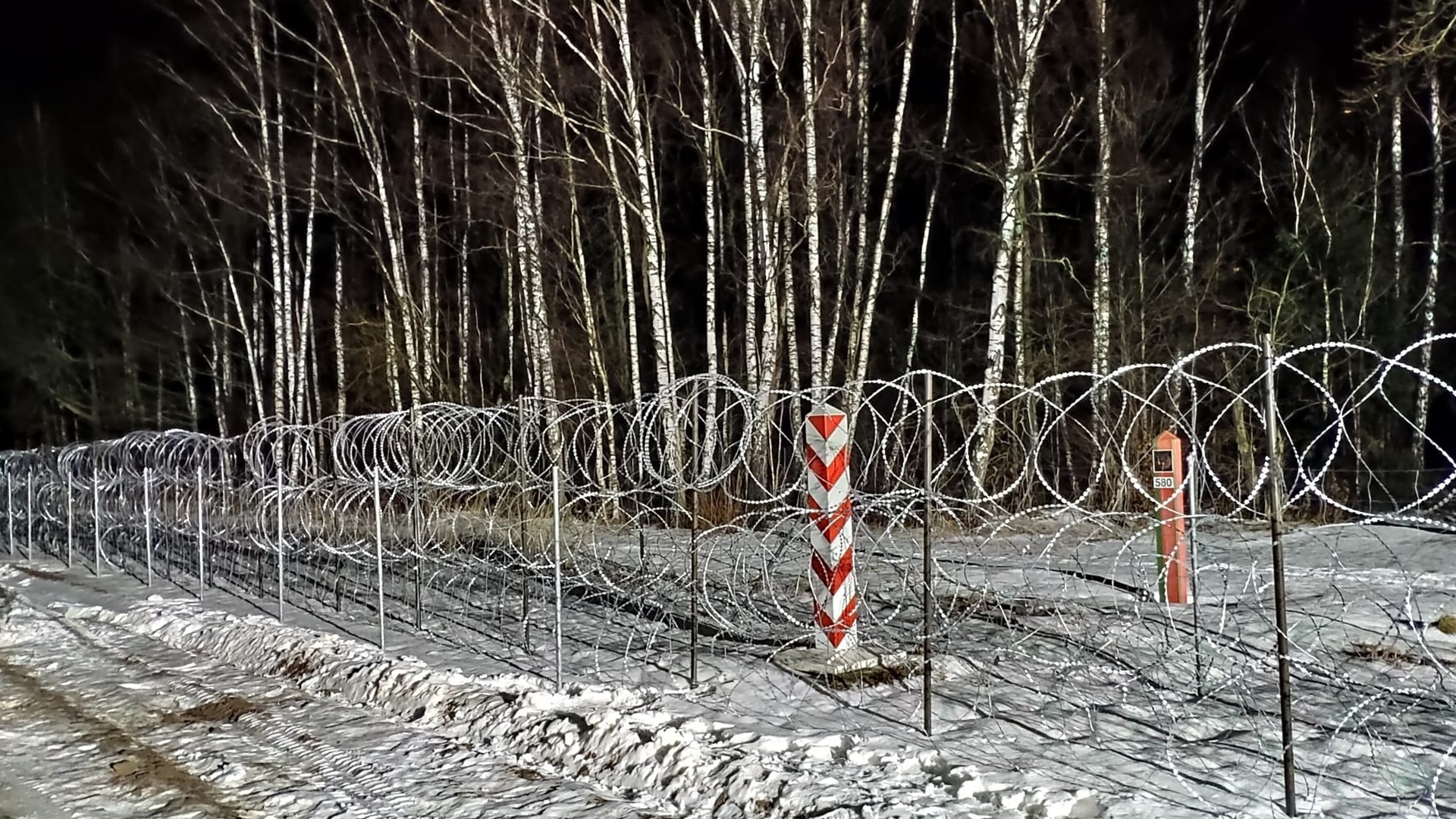 O żabach, wężach i niecierpku - felieton Tomasza Kubaszewskiego