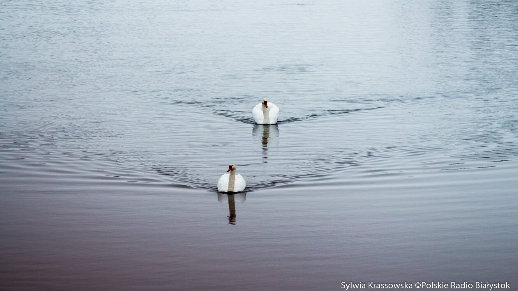 Augustowski radny Marcin Kleczkowski alarmuje, że miejska oczyszczalnia odprowadza do okolicznych rzek nie do końca oczyszczone ścieki