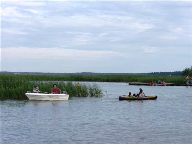 Śnięte ryby w Zalewie Siemianówka. Specjaliści uspokajają - nie ma zagrożenia dla ludzi