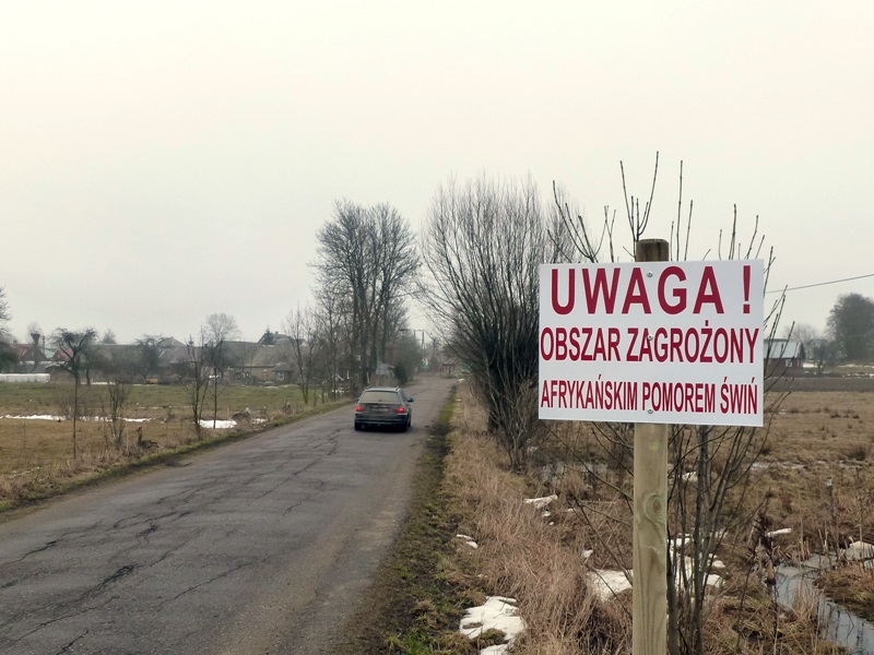 Region:  Pomoc dla producentów wieprzowiny