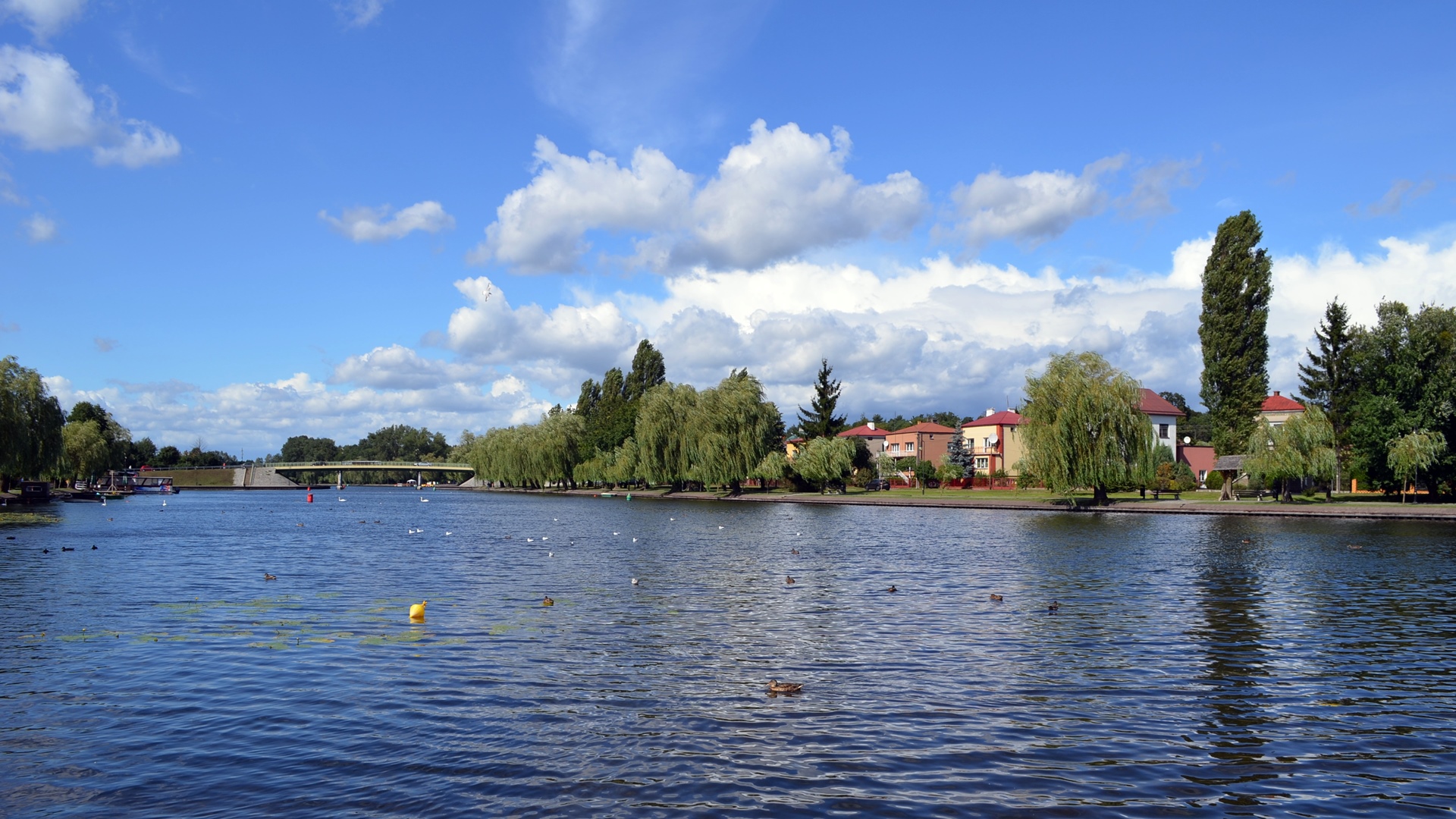 Wiemy, jakie projekty wybrali augustowianie z budżetu obywatelskiego