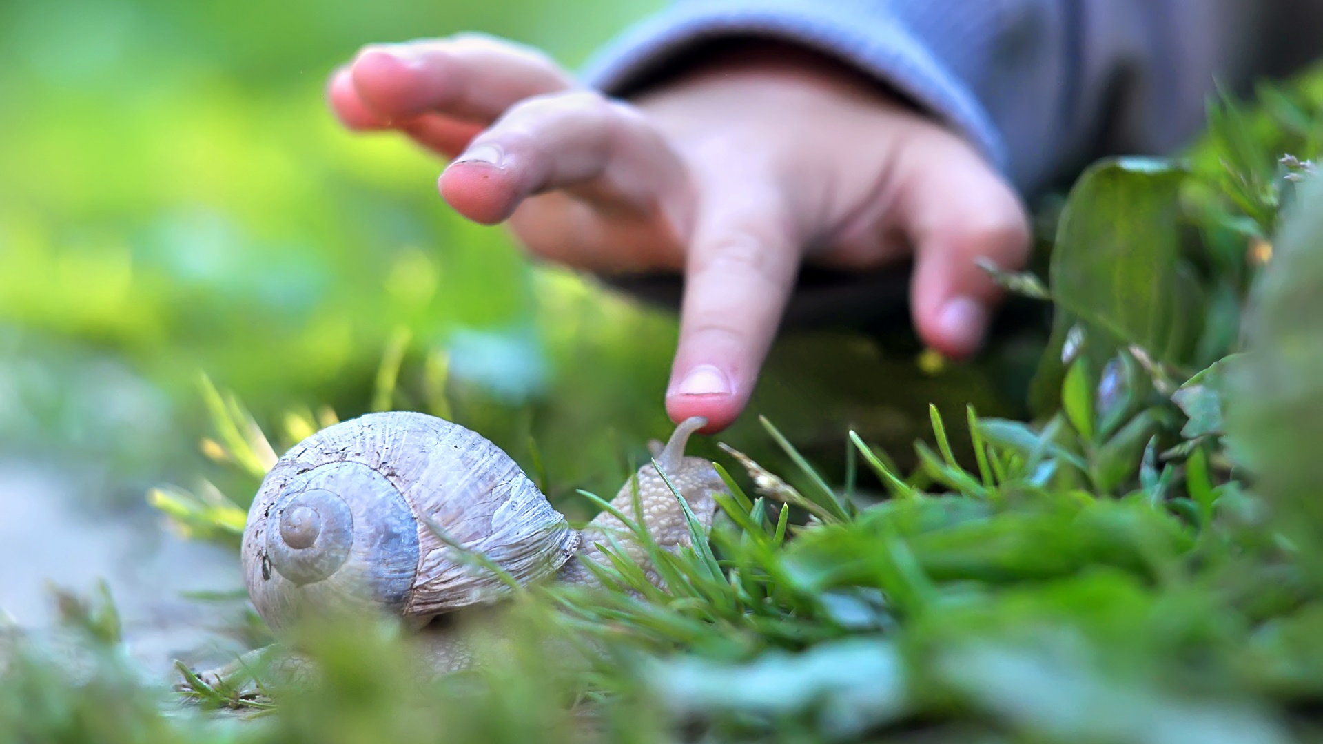 Miłośnicy przyrody chcą zagospodarować zapomniany fragment Suwałk