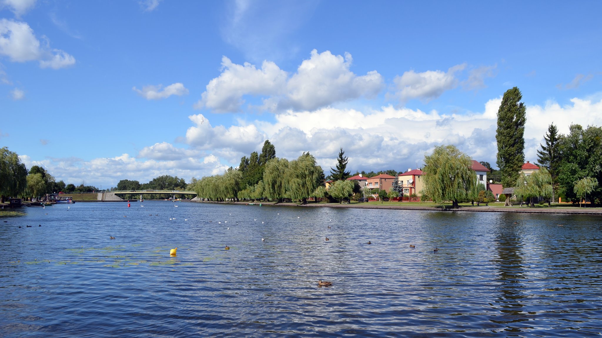 Augustowska radna Aleksandra Sigillewska ma pomysł na zagospodarowanie terenu nad rzeką Nettą