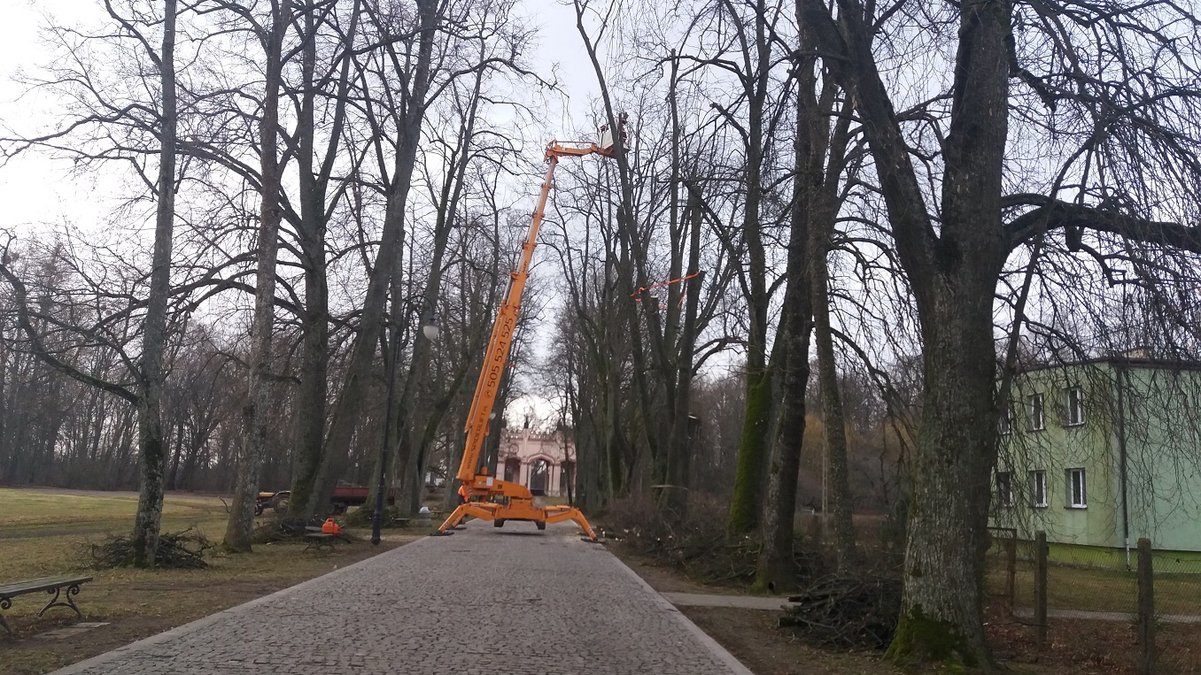 Przy Alei Lipowej w Dowspudzie wycięto 13 drzew. Władze powiatu suwalskiego tłumaczą, że było to konieczne