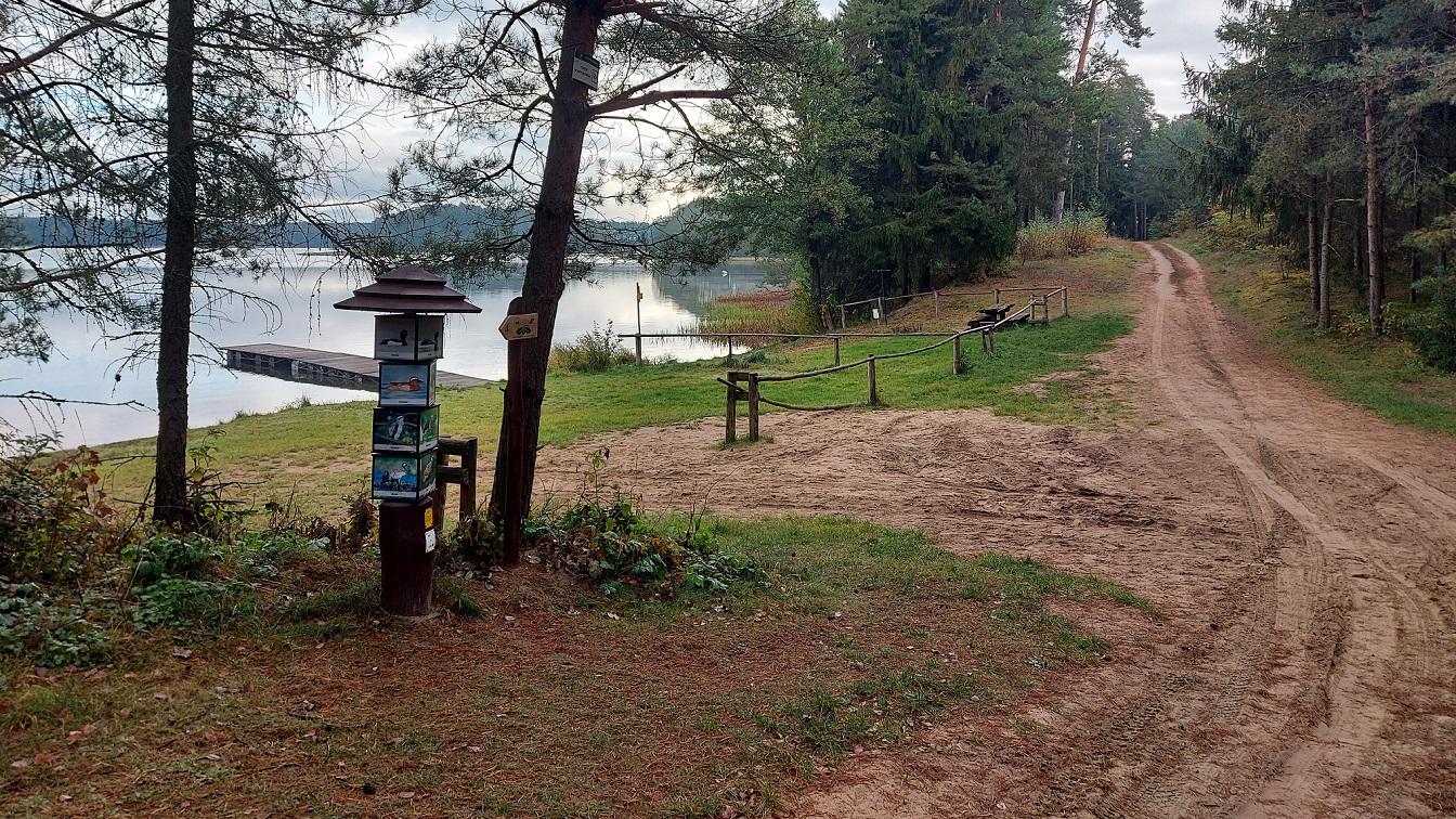 Opowieści różnej treści - Plaża Dąbek nad Jeziorem Białym