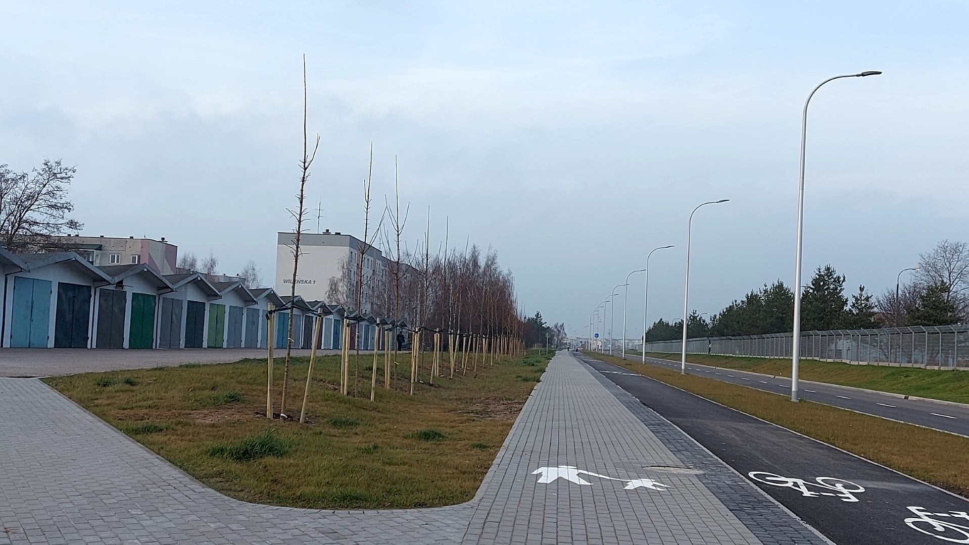 180 nowych drzew pojawiło się w ostatnich tygodniach w Suwałkach