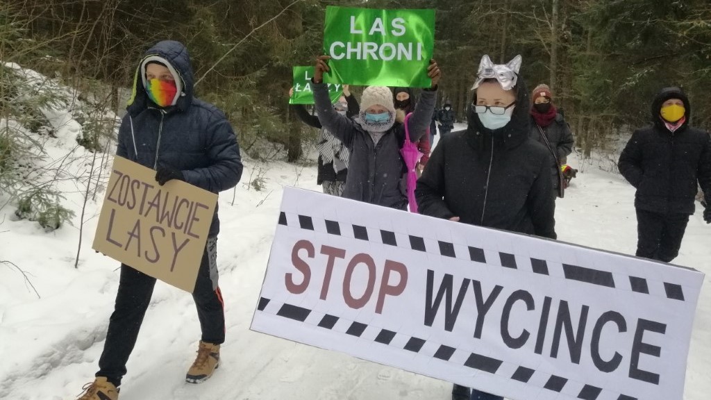 Protest w obronie drzew w Szwajcarii