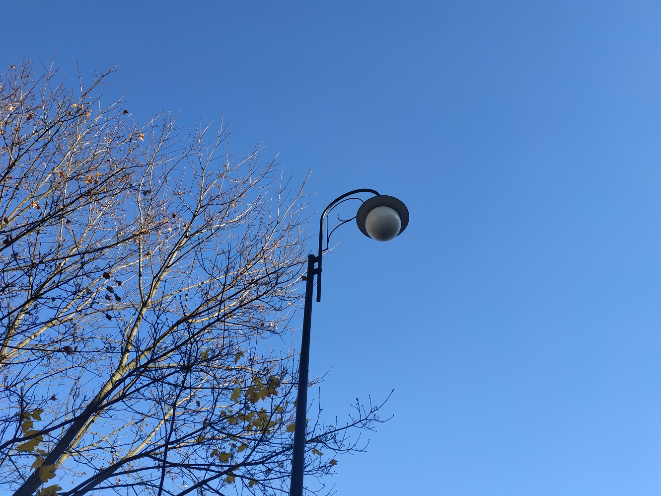 3 tysiące przestarzałych augustowskich latarni może zostać wymienionych na nowoczesne - ledowe