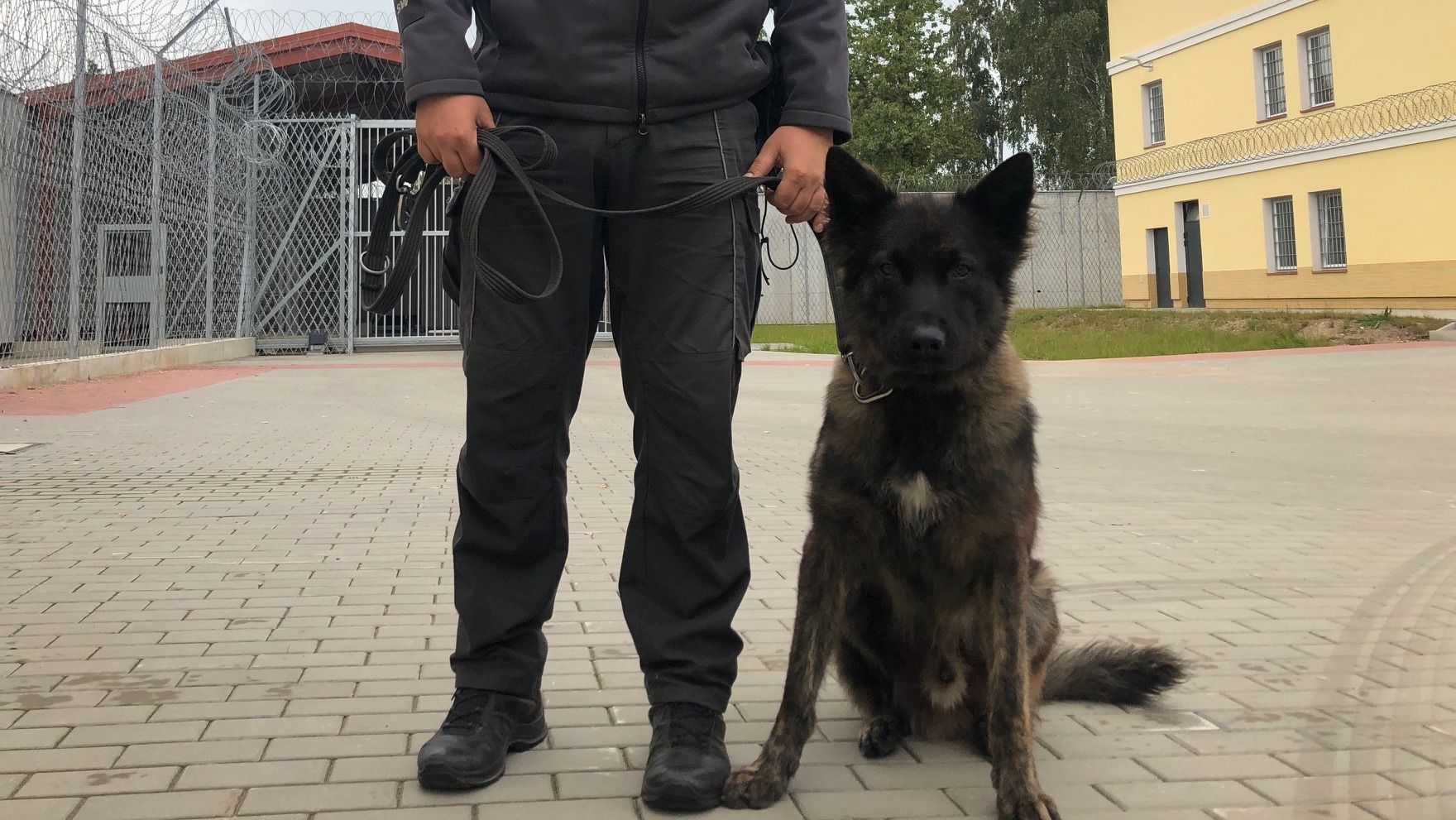 Opowieści różnej treści - Chapo