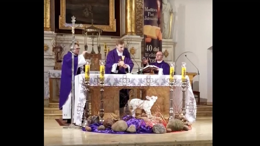 Mieszkańcy Suwałk mogą oglądać msze święte transmitowane z różnych polskich kościołów nie tylko w telewizji