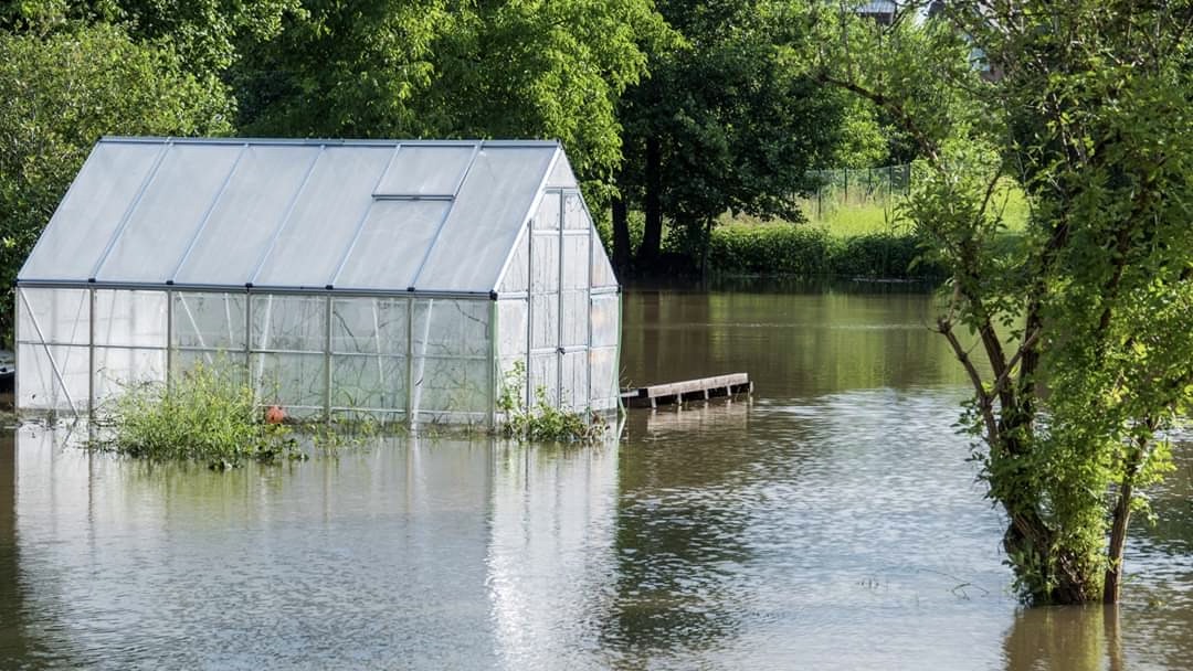 Mokry problem w Augustowie