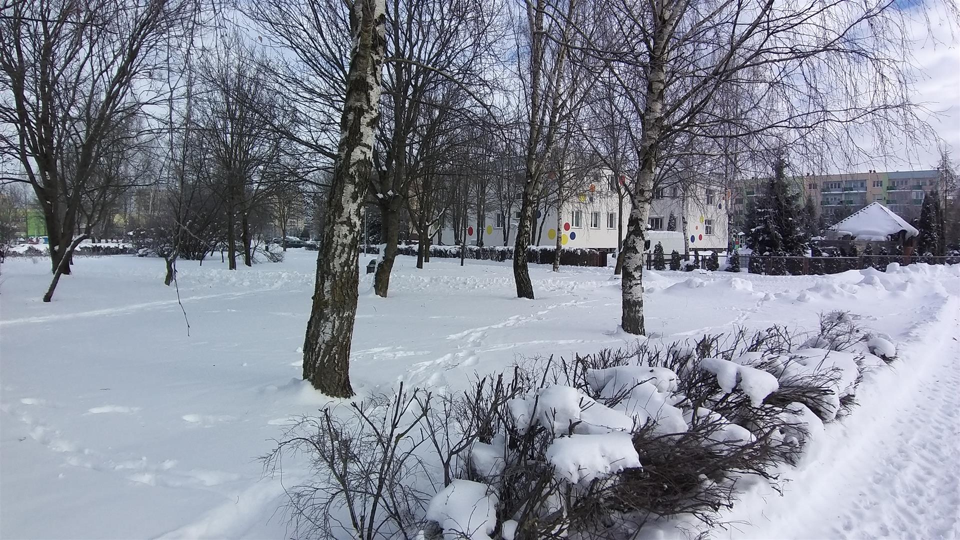 Może fontanna i więcej ławek, a może dużo atrakcji dla najmłodszych?