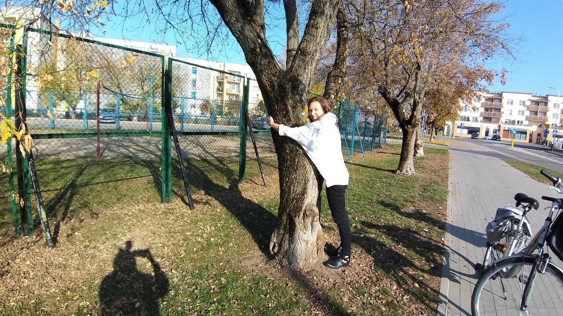 Boisko zamiast drzew. Suwalczanie nie zgadzają się na wycinkę