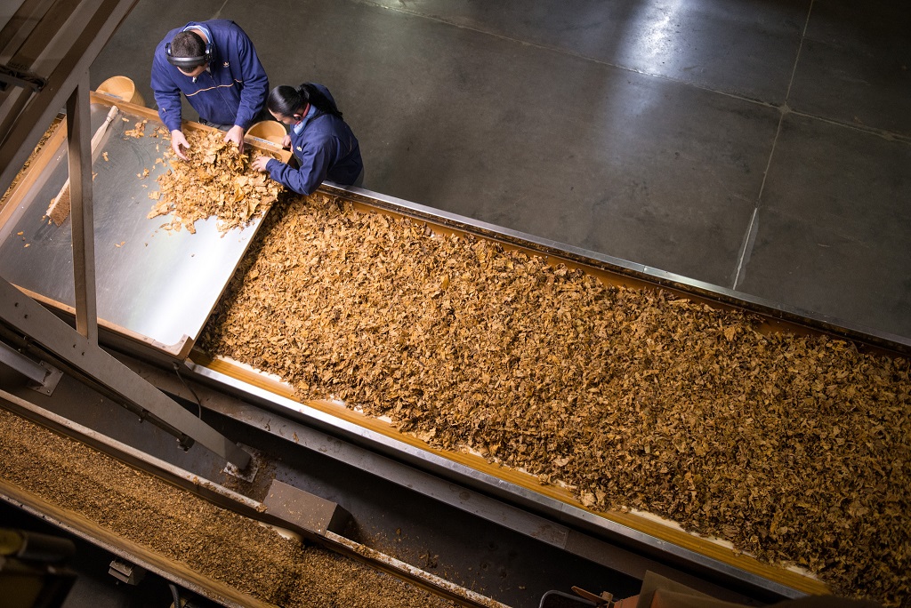 W Augustowie może powstać największy na świecie zakład produkcyjny koncernu British American Tobacco