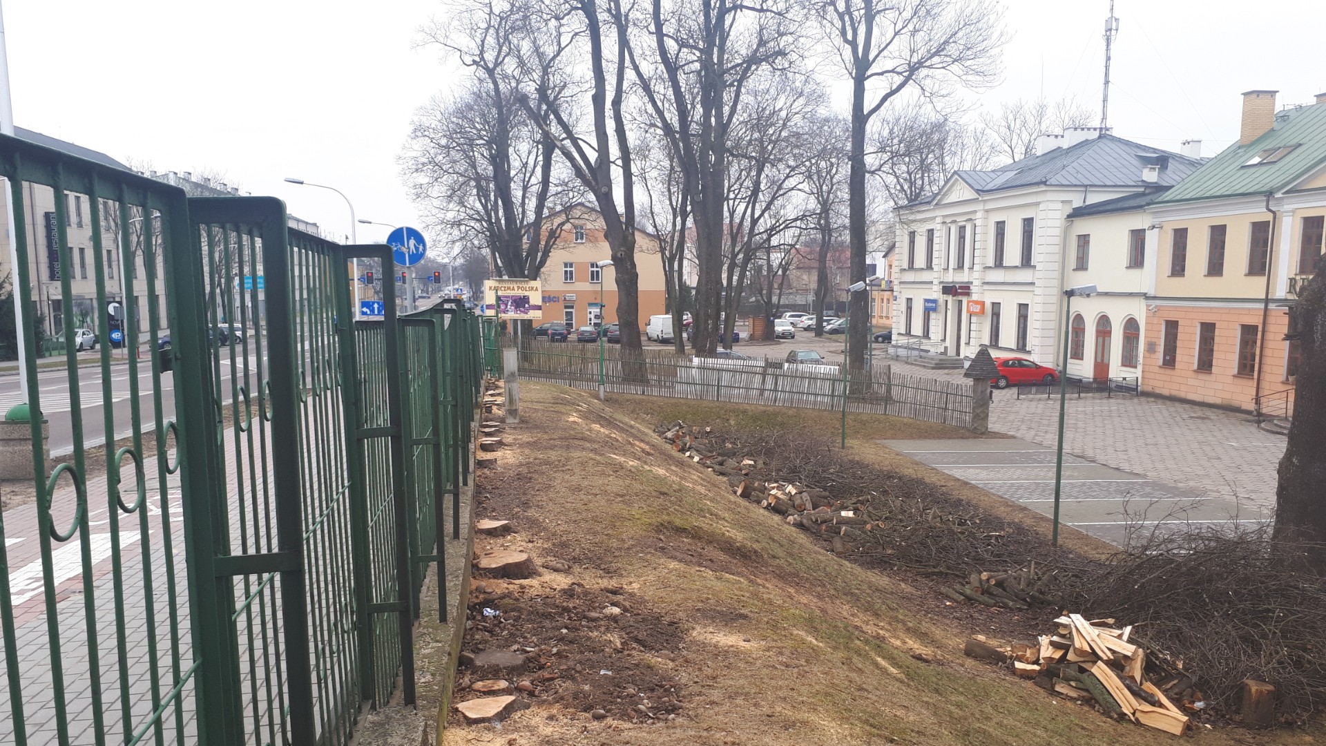 Wycinka drzew przy starym szpital była zgodna z prawem. Uznała tak suwalska prokuratura