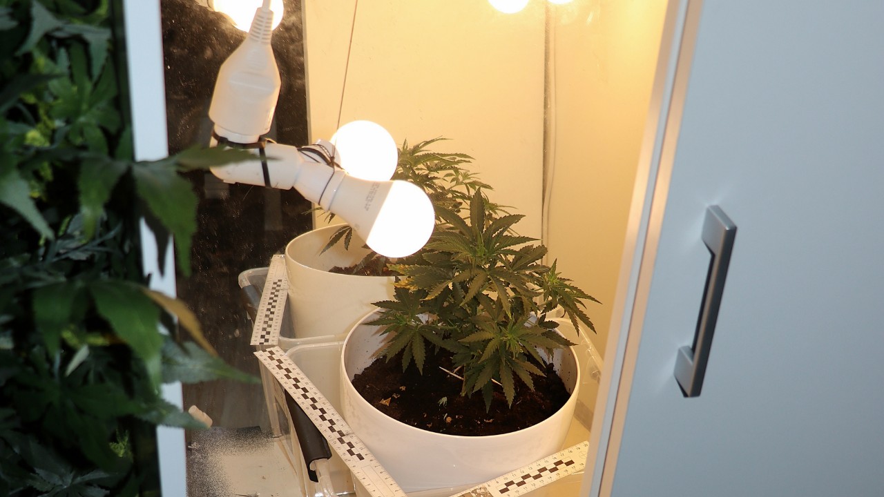 Narkotyki i tytoń bez akcyzy znaleziono w jednym z suwalskich mieszkań