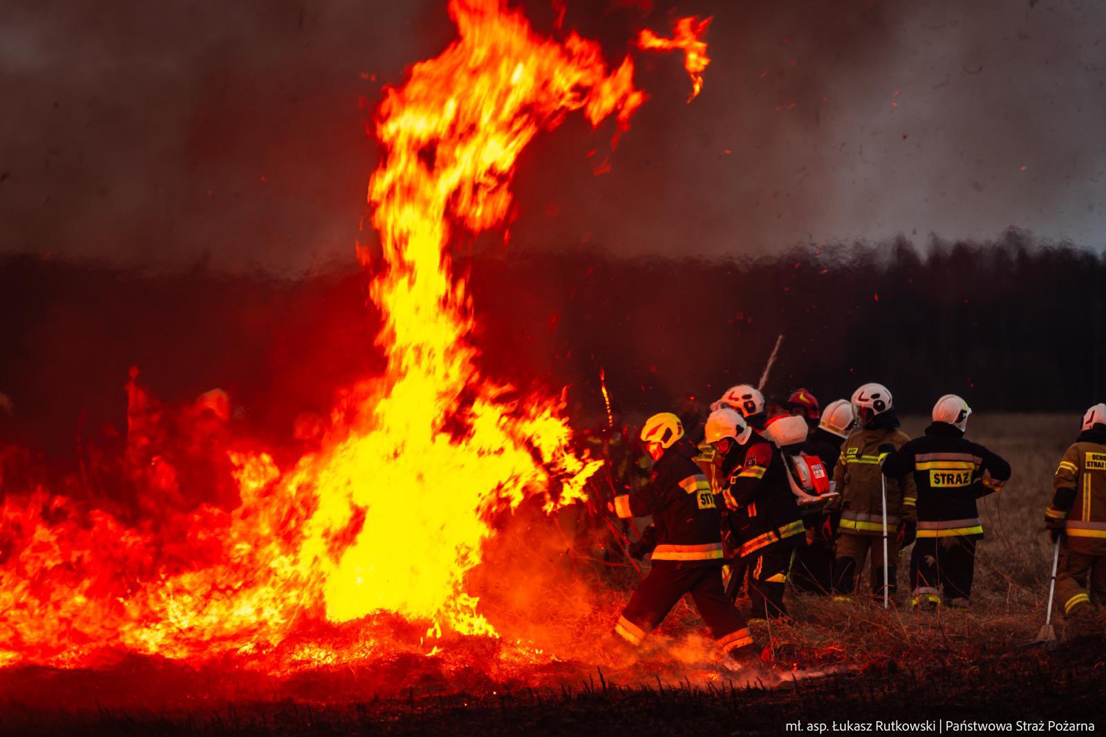 Pożar w Biebrzańskim Parku Narodowym, 30.03.2025, fot. mł. asp. Łukasz Rutkowski/Państwowa Straż Pożarna
